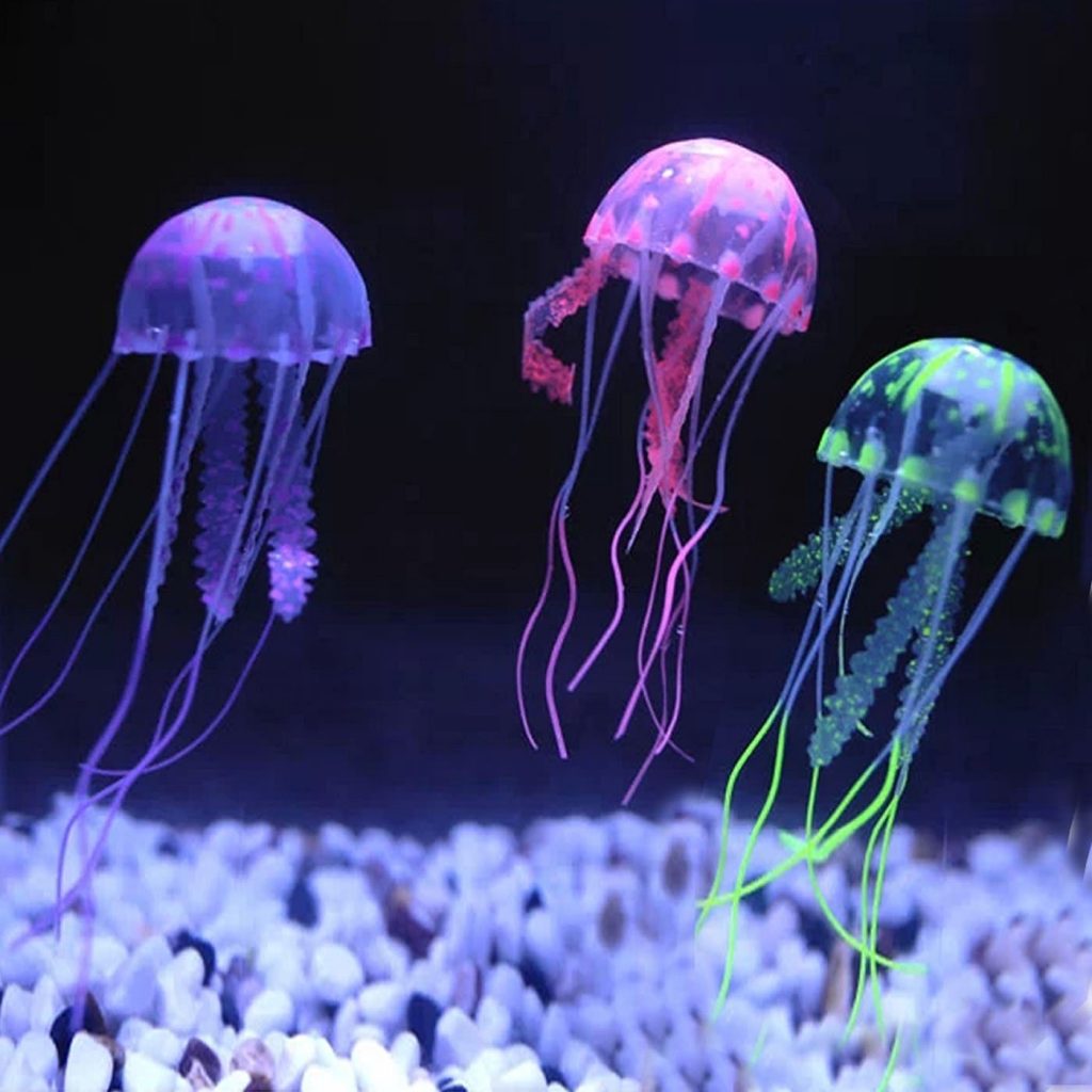 How to Get The Best Aquarium Lights For Your Tank Fishxperts