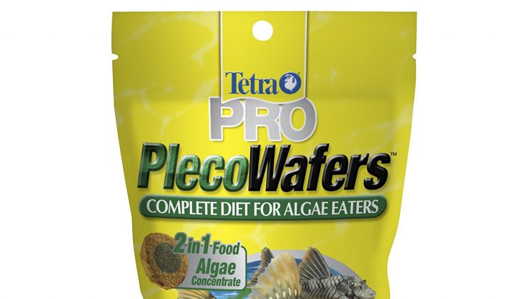 Best Algae Wafers Review