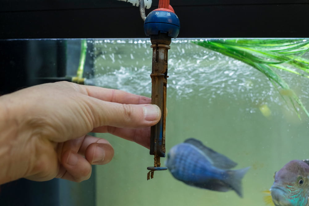 fish Aquarium Heaters