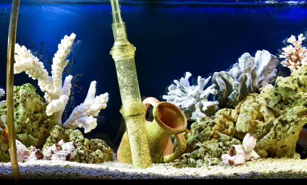 best fish tank gravel cleaner