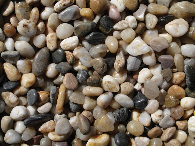 Best Gravels for Aquarium/Tanks