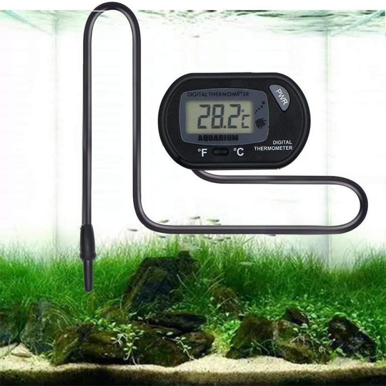 Best Value for Money Thermometers for Your Fish Tank