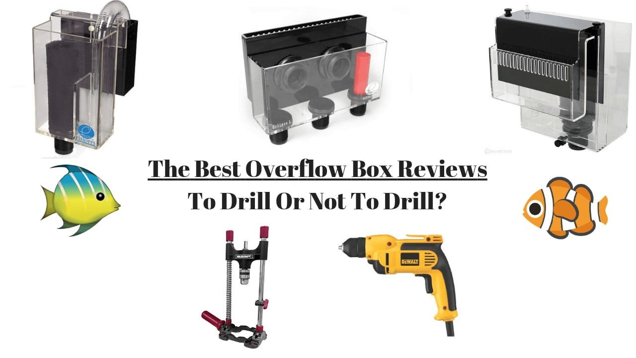 Best Hang-on Overflow Boxes Reviewed