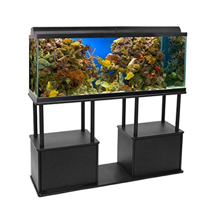 Top Rated 55 Gallon Stands to Choose From - Fishxperts