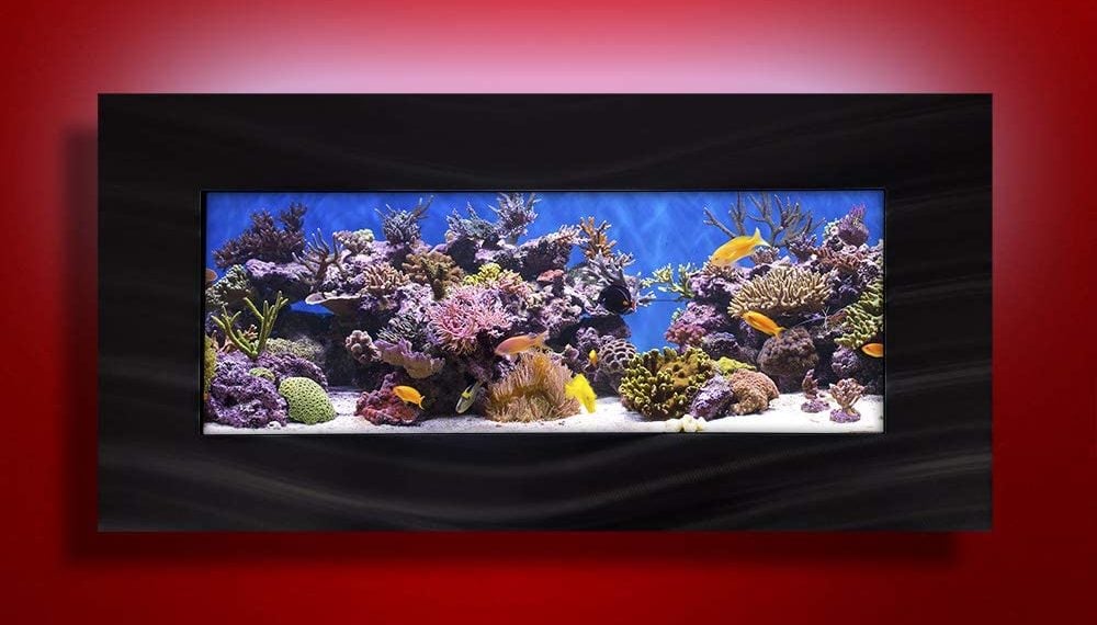 wall mounted aquariums