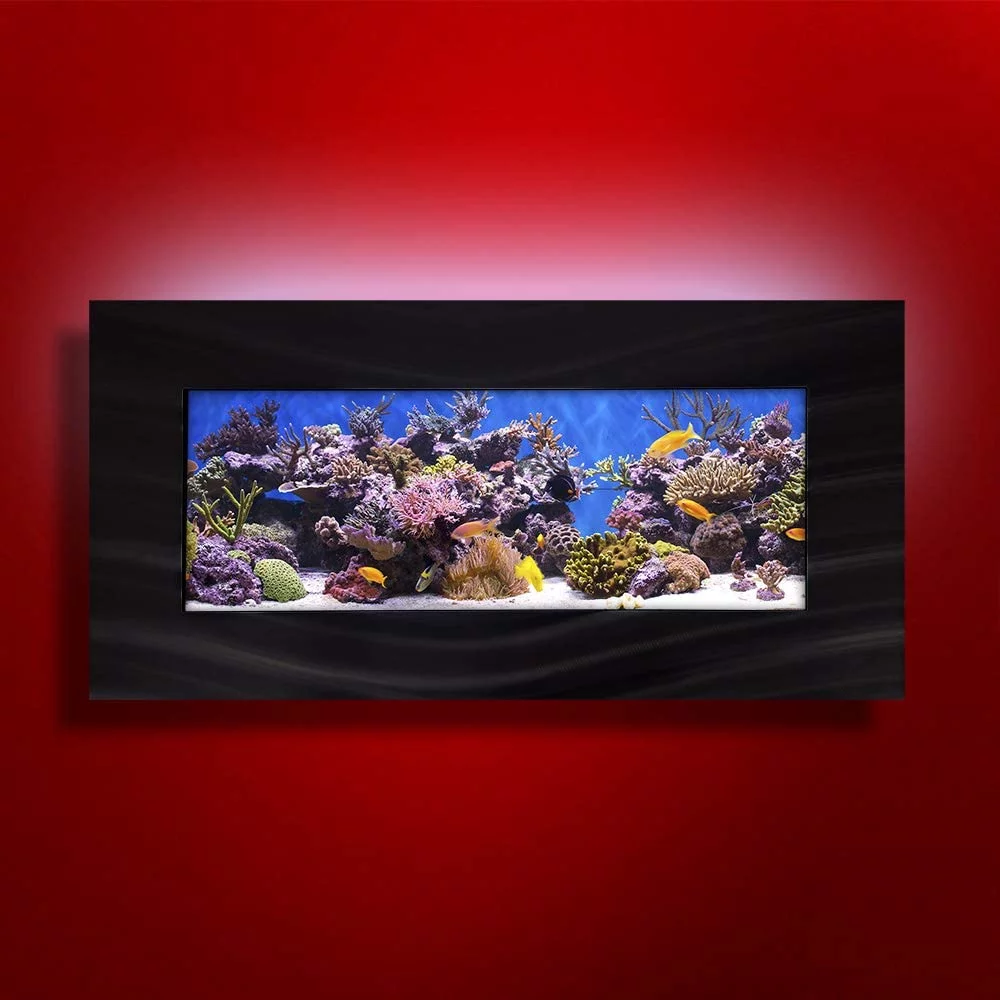 wall mounted aquariums