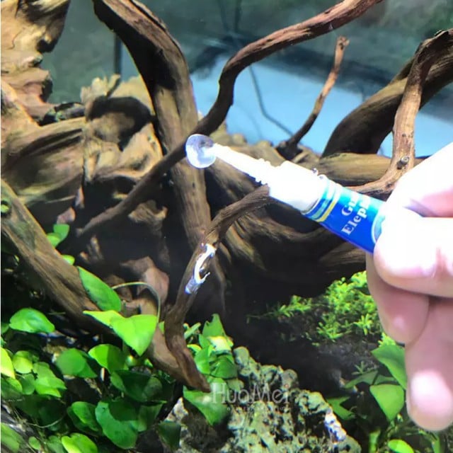 Best Non-Toxic Silicone Sealant For Your Aquarium