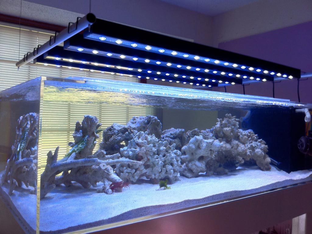 fish tank aquarium black light