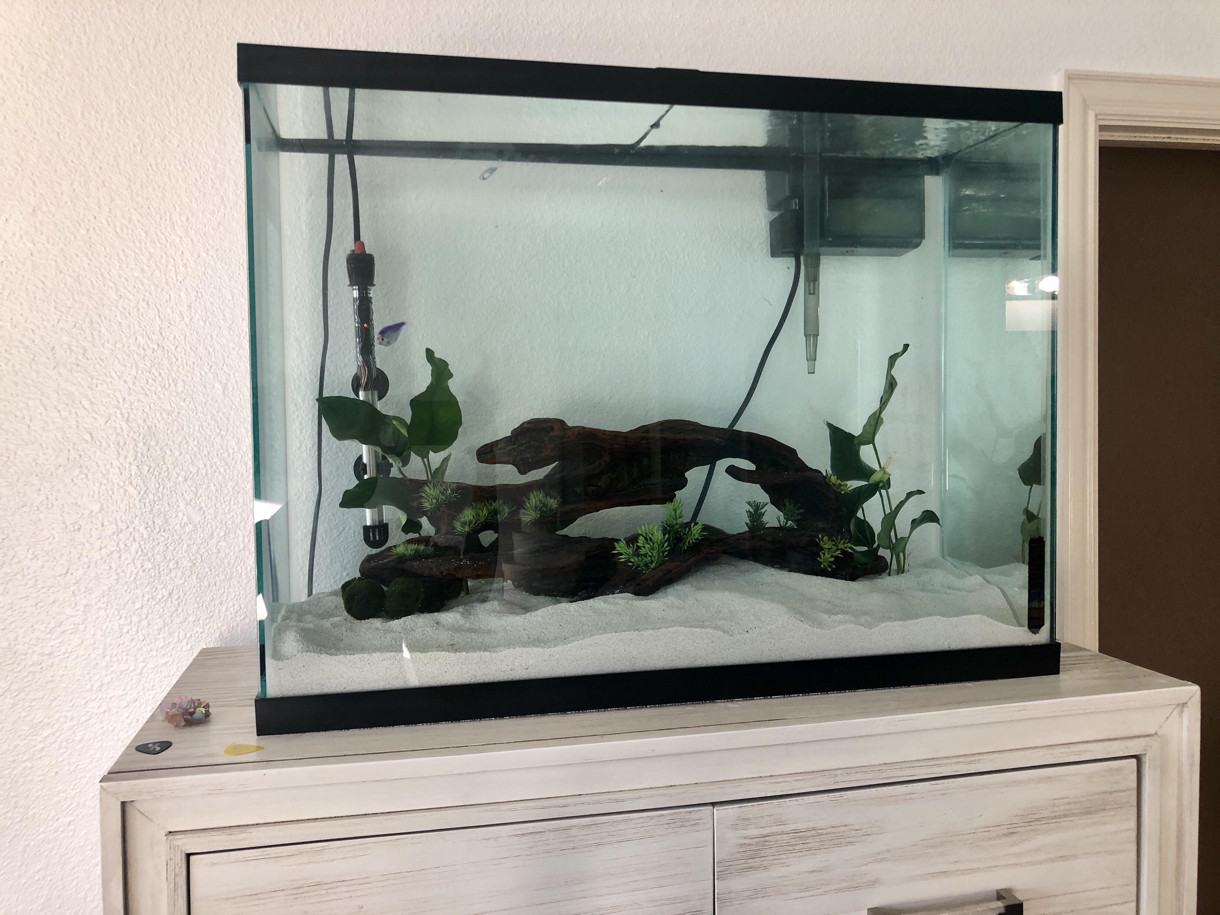 Setting Up Of A 37 Gallon Aquarium 