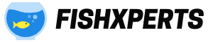 Fishxperts
