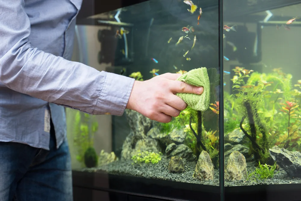 How do you properly clean a fish tank?