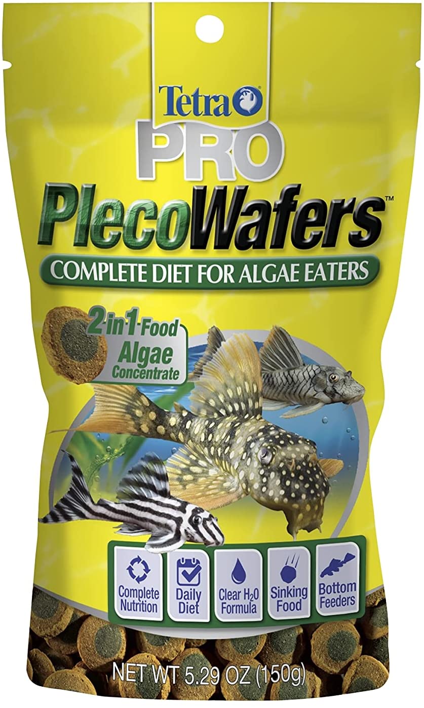 Best Algae Wafers Review Fishxperts